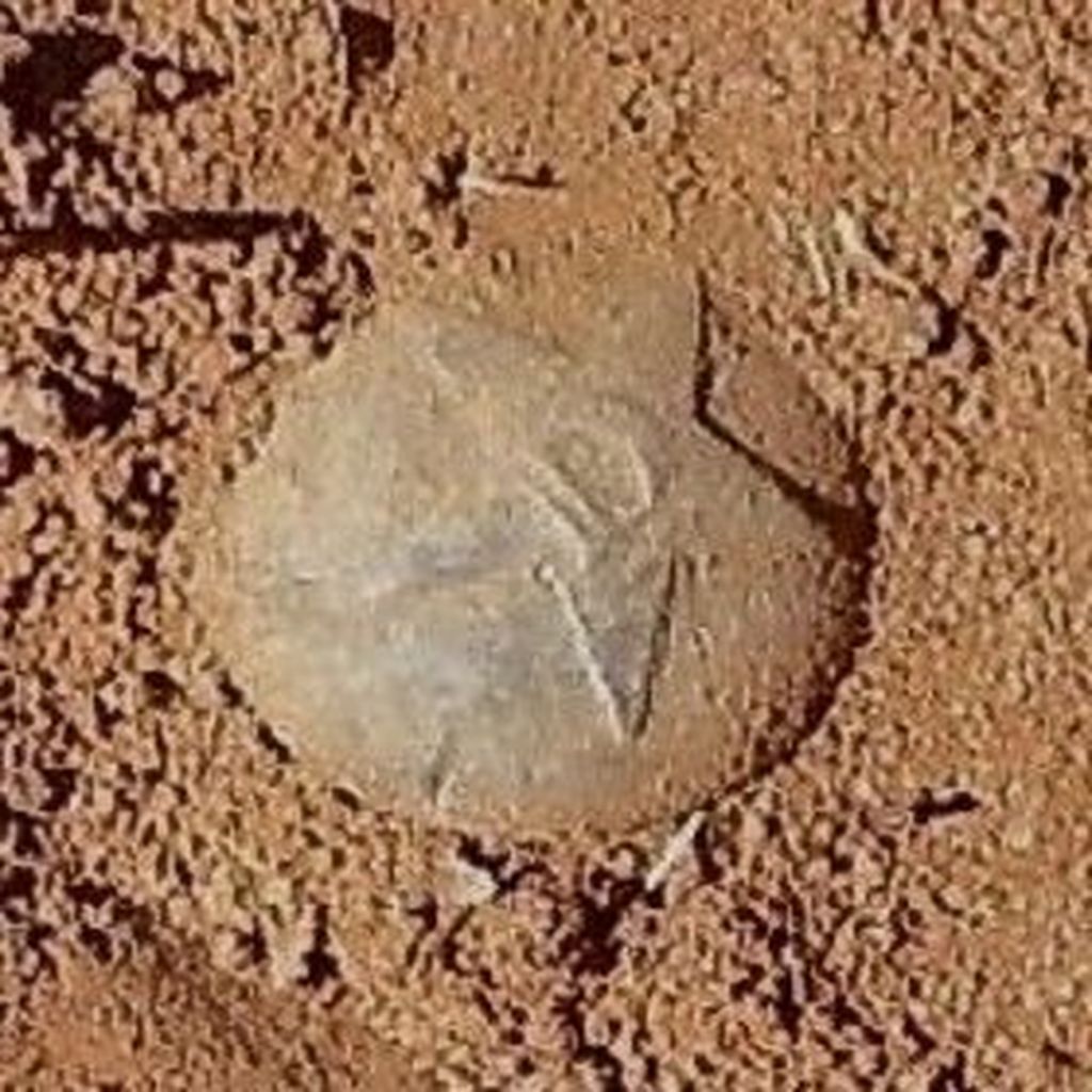 Republic of Texas “Dragoon” button, circa 1837, discovered in 2013 by Jerry Leatherman and Ronnie Carpenter at a site in Floyd County, Texas.